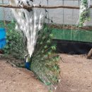 광주조류원 이미지