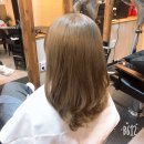 미장원339 이미지