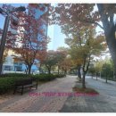 수영스타부동산공인중개사사무소 이미지