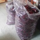 이종화농장 이미지