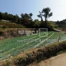 new탑공인중개사사무소 이미지