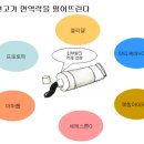 PART1. 아토피는 면역력을 낮춰야 낫는다? 이미지