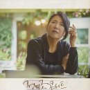 우물안 개구리 콘서트 이미지