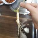 이가네우렁쌈밥 이미지