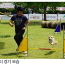 멍멍슈퍼