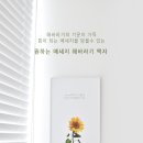 해바라기미용실 이미지