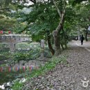 마곡천 이미지