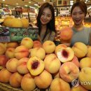 산지뚝심 이미지