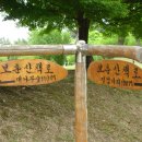 현충원 산책길 이미지