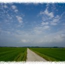 교하중앙공원 이미지