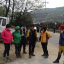 강용수농장 Daum카페