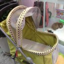 미니 앤 바니 애견샵 이미지