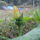 가을농장 이미지