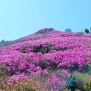 (여수)국내3대 진달래군락 영취산등 6산봉과 호국사찰 흥국사(23.3.29.수)...(1부/2) 이미지