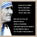 ‘삶’은 무엇인가? / 마더 테레사 이미지