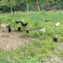 세동산골농원 이미지