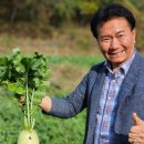 농소1동 주민자치 사회적협동조합 이미지