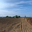 동일리-7 이미지