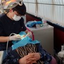 경북대학교치과병원 이미지