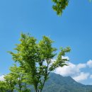 의암호자전거길 2 이미지