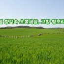 고창손칼국수