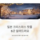 핫플 티스토리