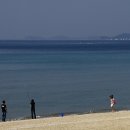 제부도 Daum카페