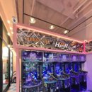 인형헌터 이미지