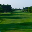 글로리아골프 이미지