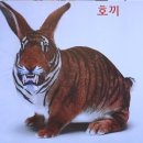 호랑이PC 이미지