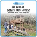 아름다운소리 가곡교실 | 가족이 함께하는 프로그램! 어린이 숲체험교실