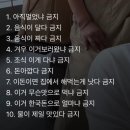 제주아이스뮤지엄종합전시관 | 제주 2주살이 5일차 (with 부모님)