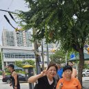 키키님과 함께 합니다 이미지