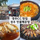 경주민물매운탕 | 얼큰한 경주CC 맛집 경주 민물매운탕 후기