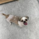 라미살롱 이미지