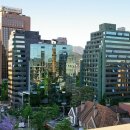 민들레공인중개사사무소 이미지