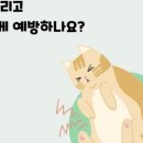 정든동물병원 이미지