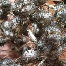 후곡4길 이미지