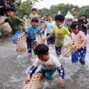 담양 반딧불 이미지