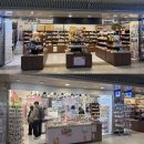 대전 중앙로 가챠샵 추천 | GACHA SHOP, 댕기2, 원피규어 후기