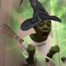 부천-괴안-66 | 위키드 포굿, 주토피아2와 함께한 요즘의 근황