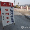 동일농장 이미지