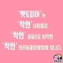 펫토피아지점
