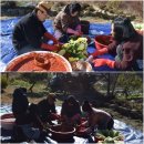 성규농장 Daum카페