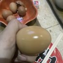 스페이스본 스크린골프 | 종로 광화문 찜질방 &gt; 스페이스본휘트니스센터 :광화문에서 놀다 힐링하러-