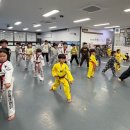 용인대단재태권도 이미지