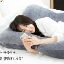 잠자리 물류