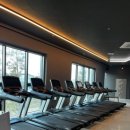 와이짐휘트니스 이미지