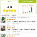 디소이포헤