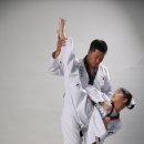 강호 해솔 태권도 이미지